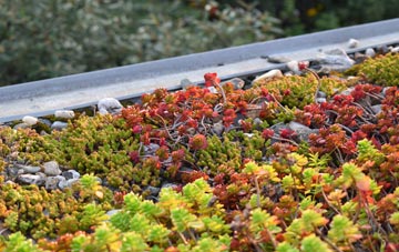 the cost of Buckland In The Moor green roof installation