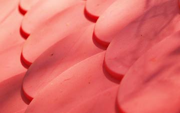 Buckland In The Moor plastic roof costs